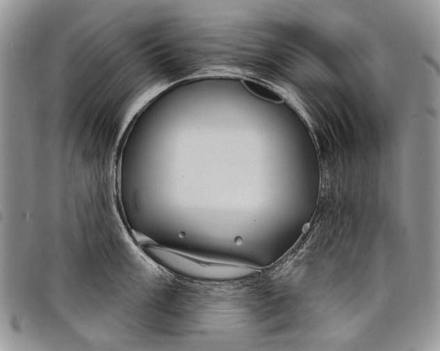X0000097951003200804140958