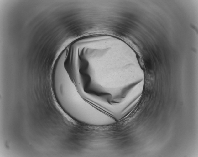 X0000097951005200804140958