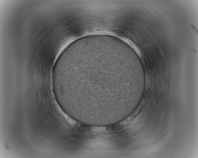 X0000097951006200804140958