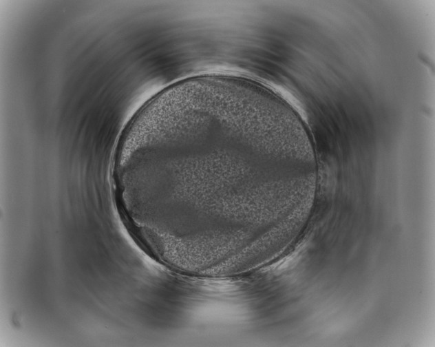 X0000097951007200804140958