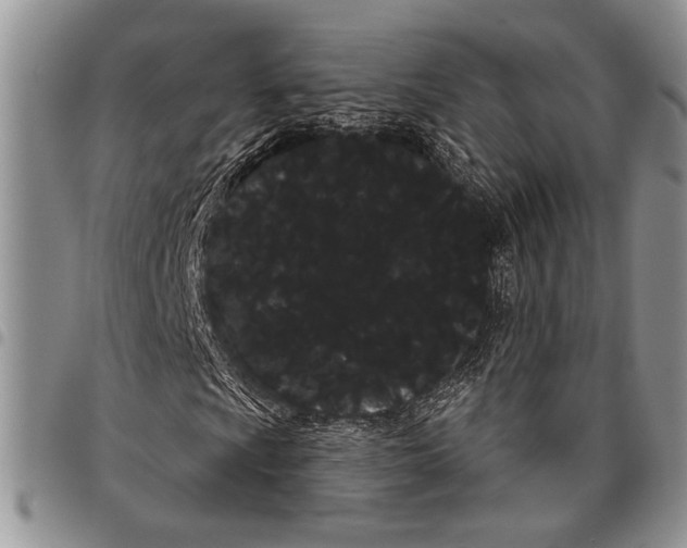 X0000097951009200804140957