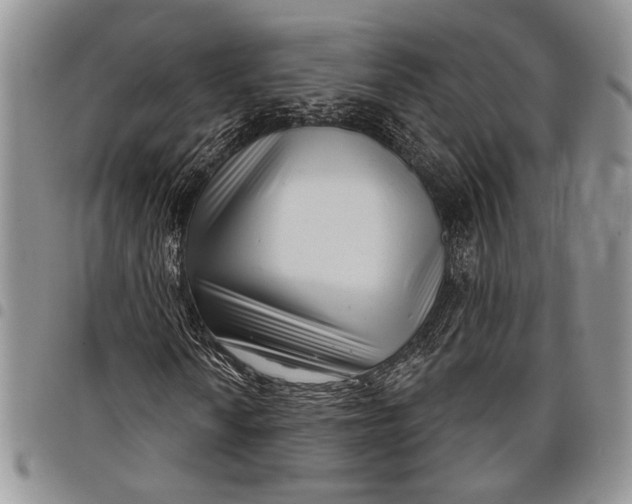 X0000097951010200804140957