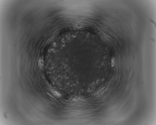 X0000097951011200804140957