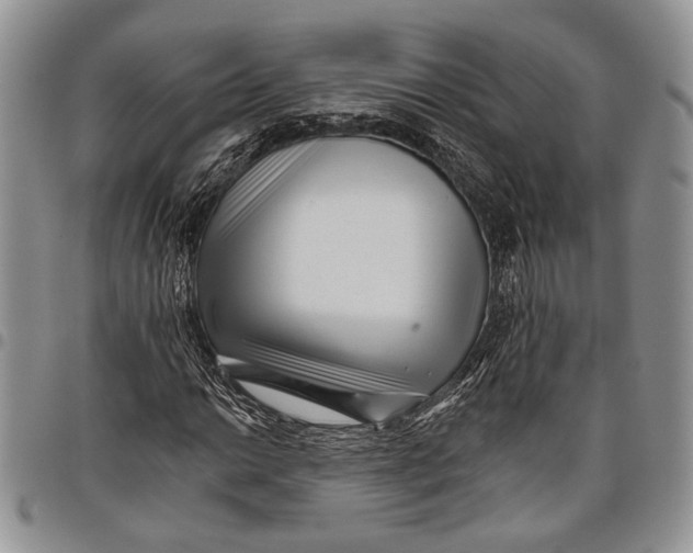 X0000097951014200804140957