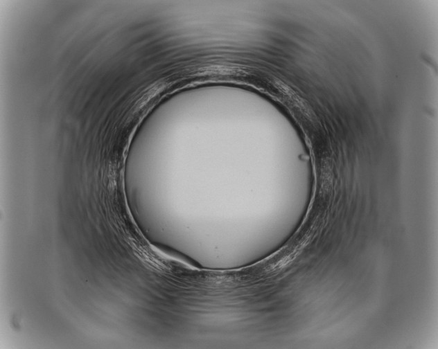X0000097951017200804140958