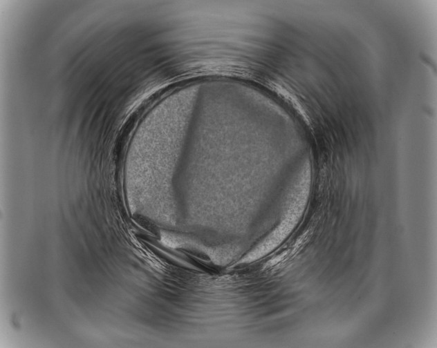 X0000097951019200804140958