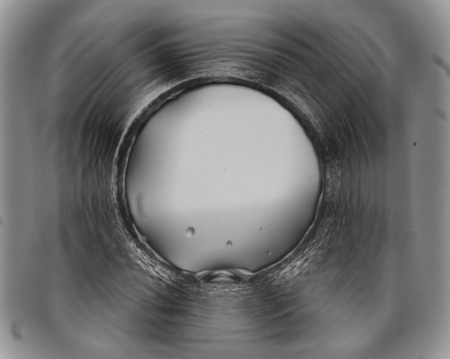 X0000097951020200804140958