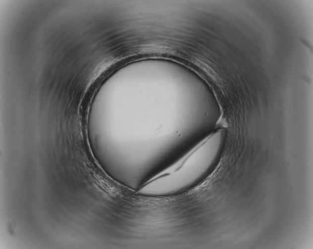 X0000097951022200804140958