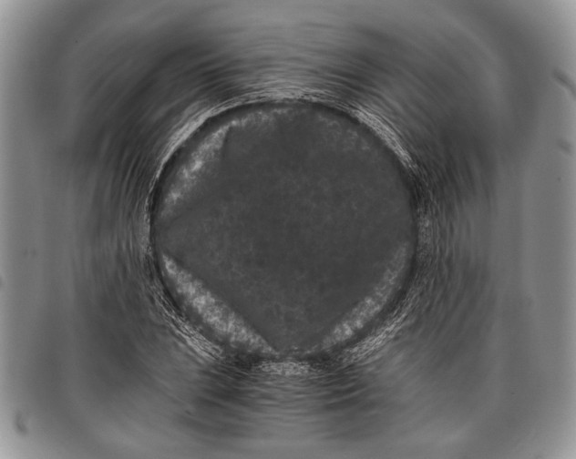 X0000097951023200804140958