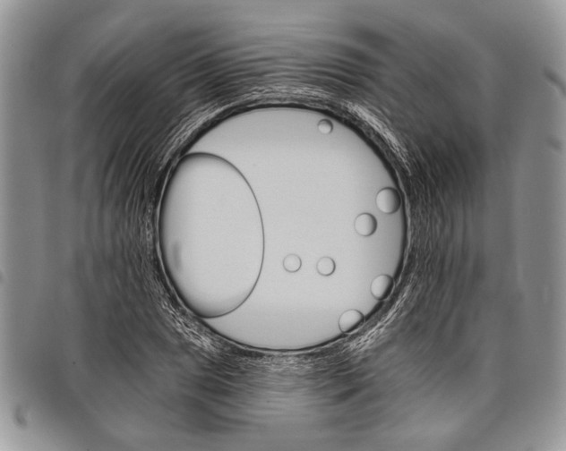 X0000097951025200804140958