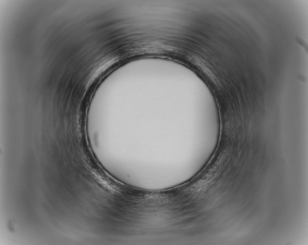 X0000097951026200804140958