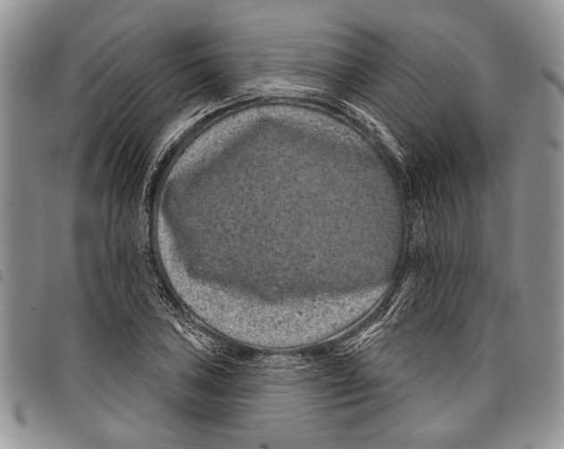 X0000097951027200804140958