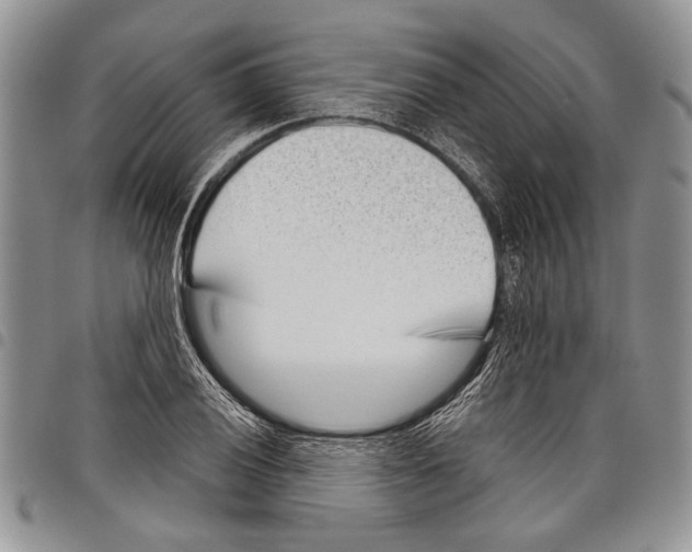 X0000097951028200804140958