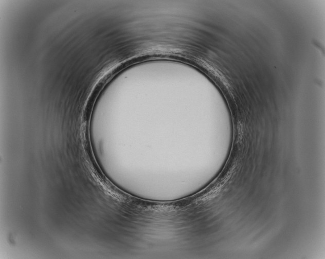 X0000097951029200804140958