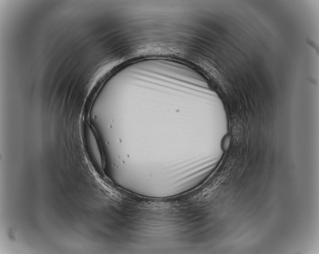 X0000097951030200804140958