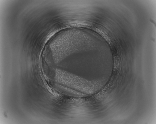 X0000097951031200804140958