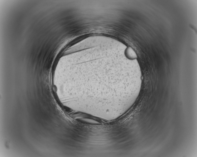 X0000097951032200804140958