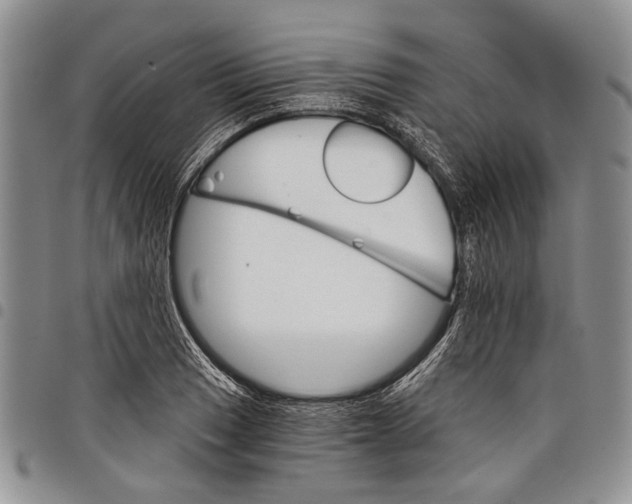 X0000097951033200804140958