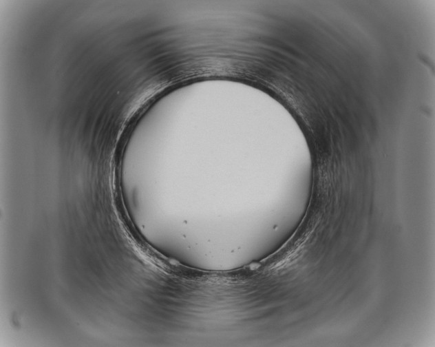 X0000097951034200804140958