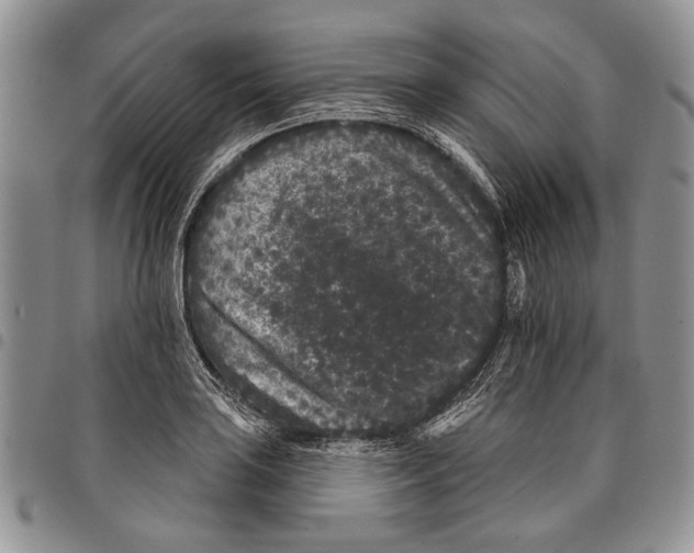 X0000097951035200804140958