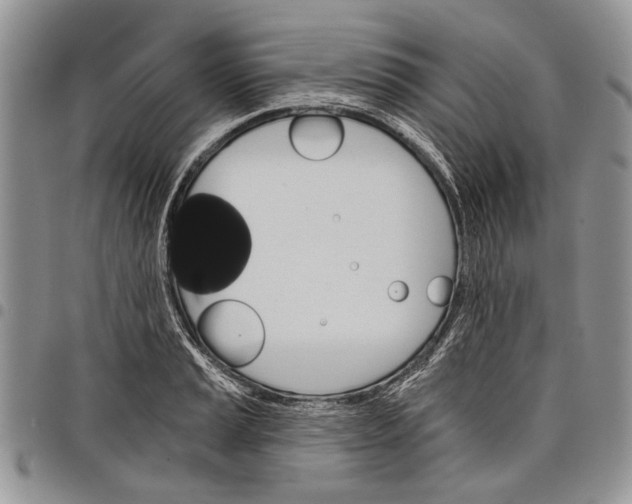X0000097951037200804140958