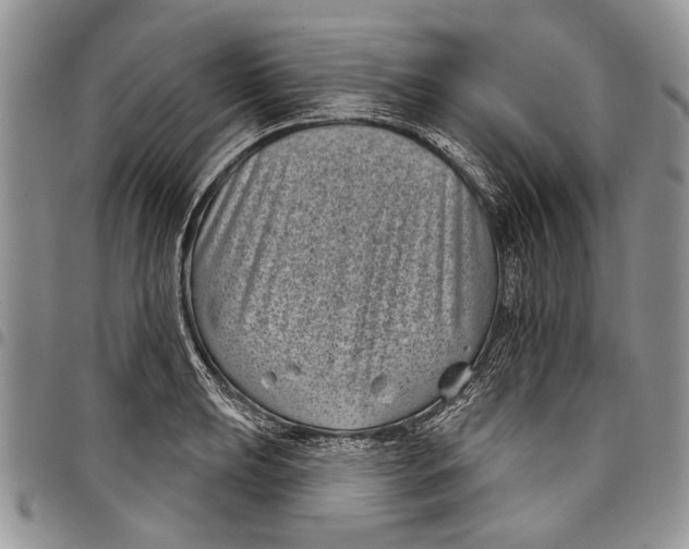 X0000097951039200804140958