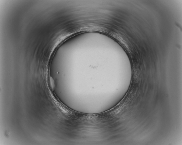 X0000097951040200804140958