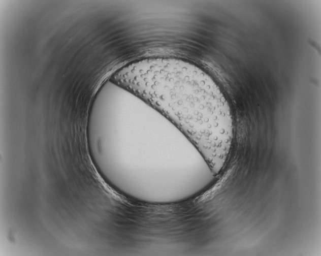 X0000097951041200804140958