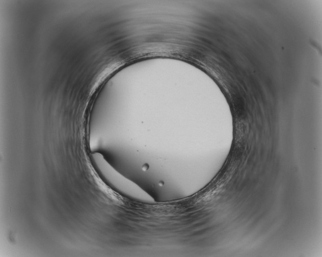 X0000097951042200804140958