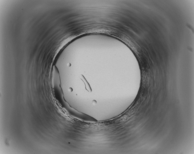 X0000097951044200804140958