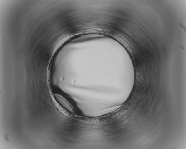 X0000097951047200804140958