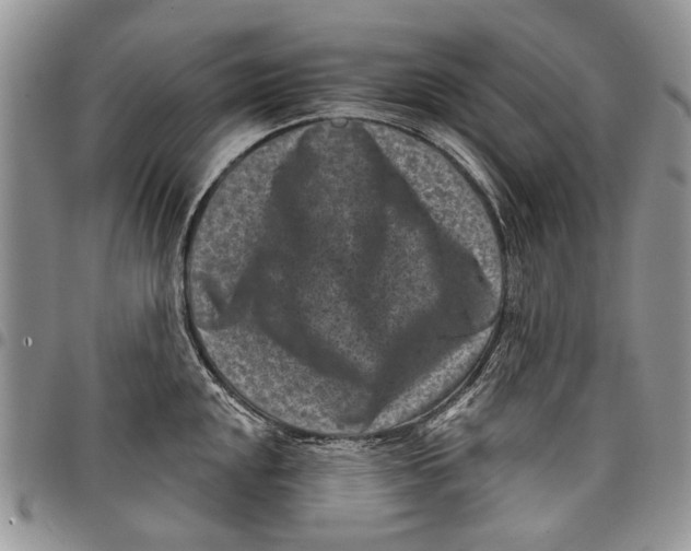 X0000097951048200804140958