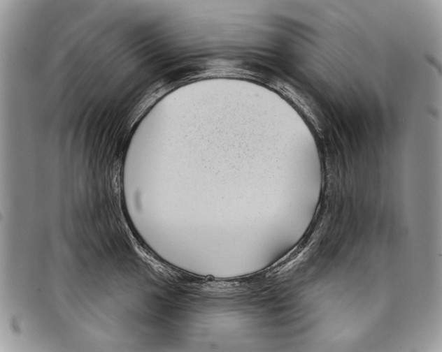 X0000097951049200804140958