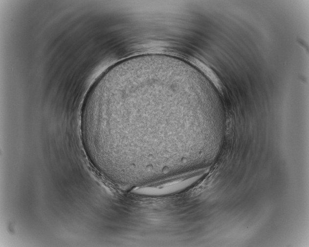X0000097951051200804140958