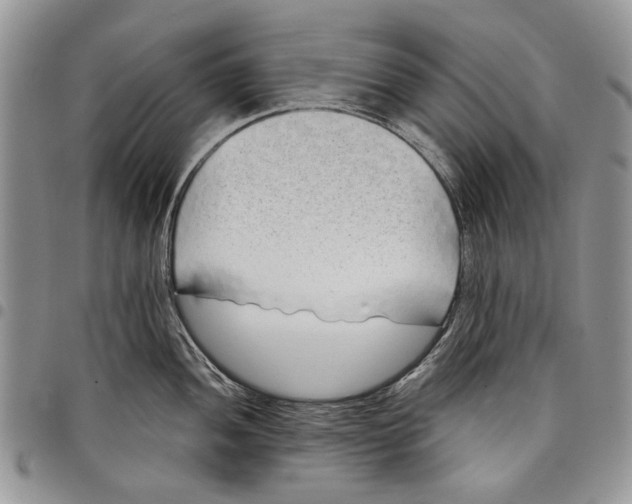 X0000097951052200804140958