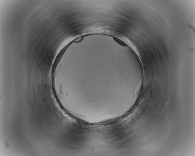 X0000097951053200804140958