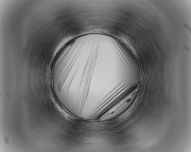 X0000097951054200804140958