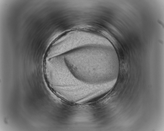 X0000097951055200804140958