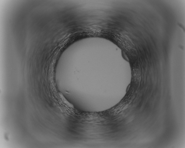 X0000097951057200804140957