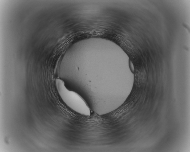 X0000097951058200804140957