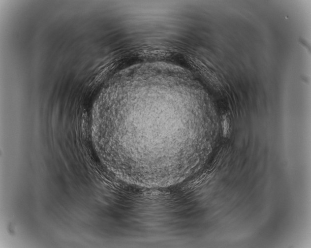 X0000097951059200804140957