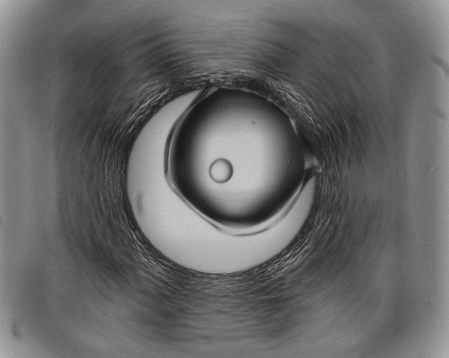 X0000097951060200804140957