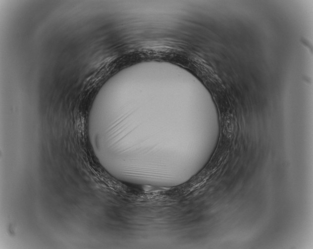 X0000097951061200804140957
