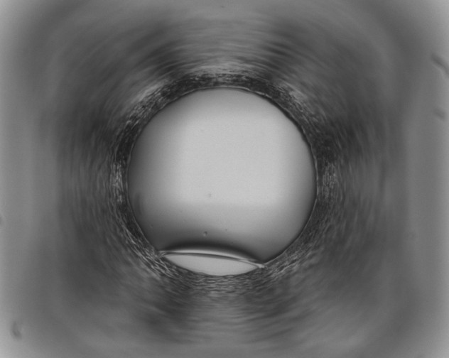 X0000097951062200804140957