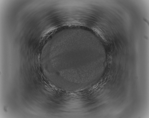 X0000097951063200804140957