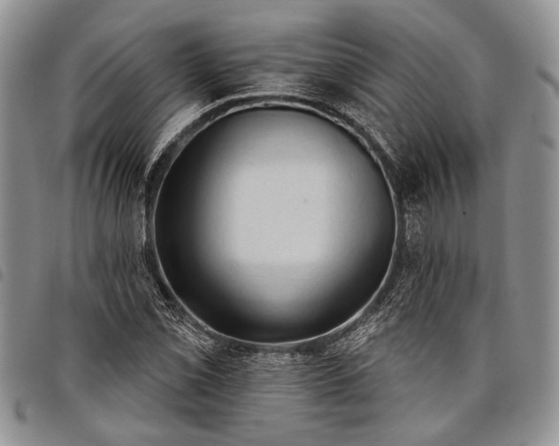 X0000097951069200804140957