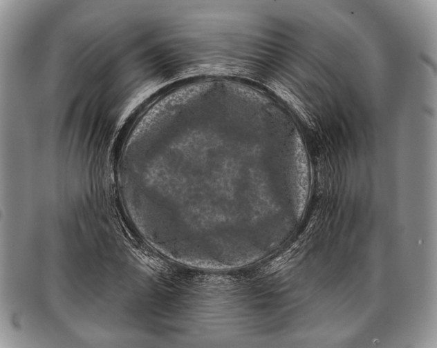 X0000097951070200804140957