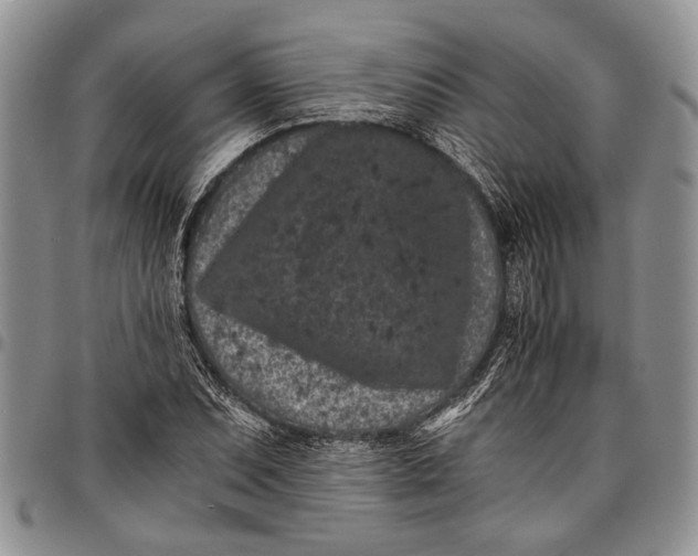 X0000097951071200804140957