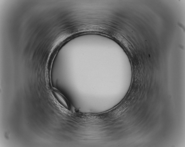 X0000097951072200804140957
