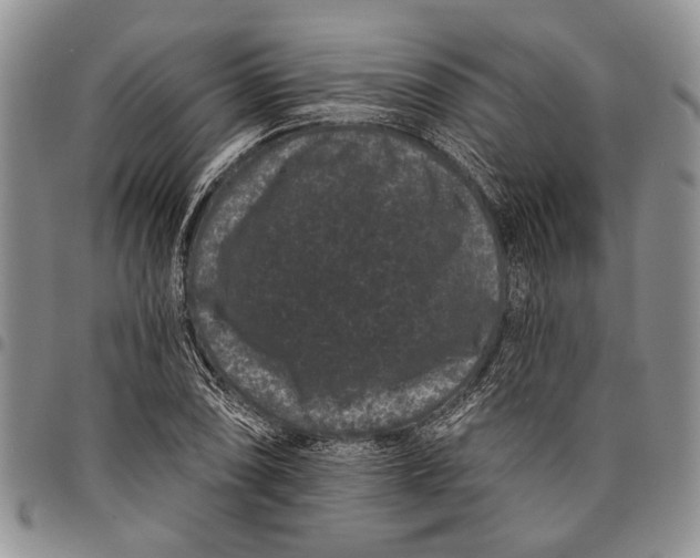 X0000097951074200804140957
